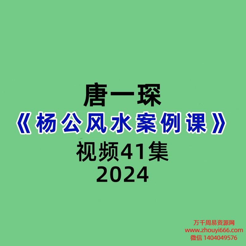 唐一琛杨公风水案例课41集视频