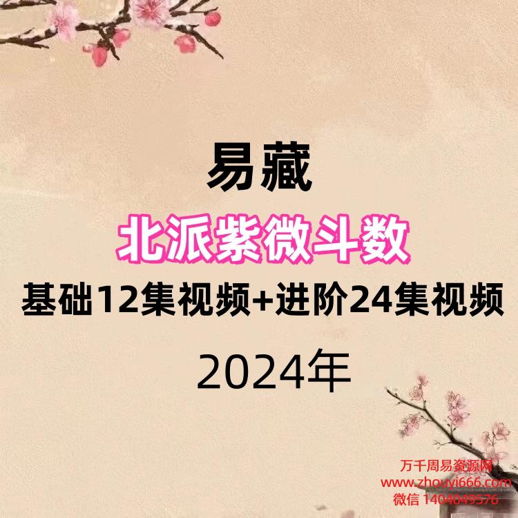 易藏北派紫微斗数,基础12集视频+进阶24集视频