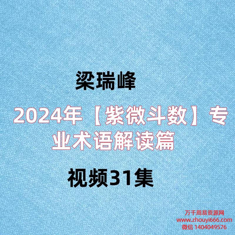 梁瑞峰2024年【紫微斗数】专业术语解读篇,视频31集