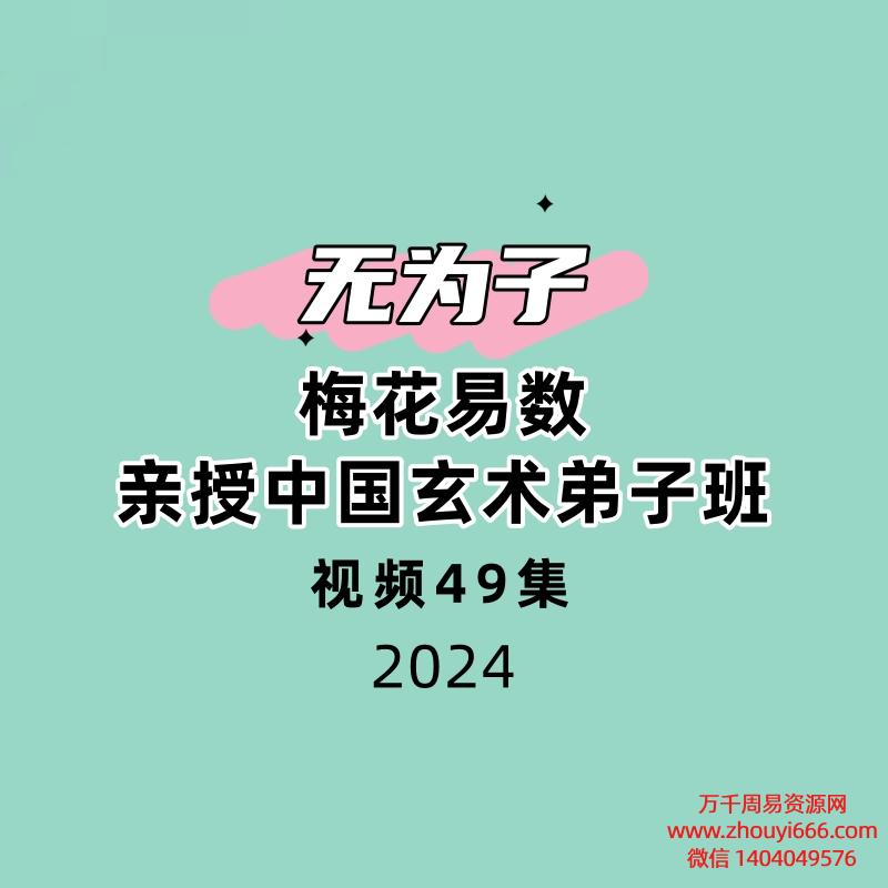 梅花易数_无为子亲授中国玄术弟子班49集视频