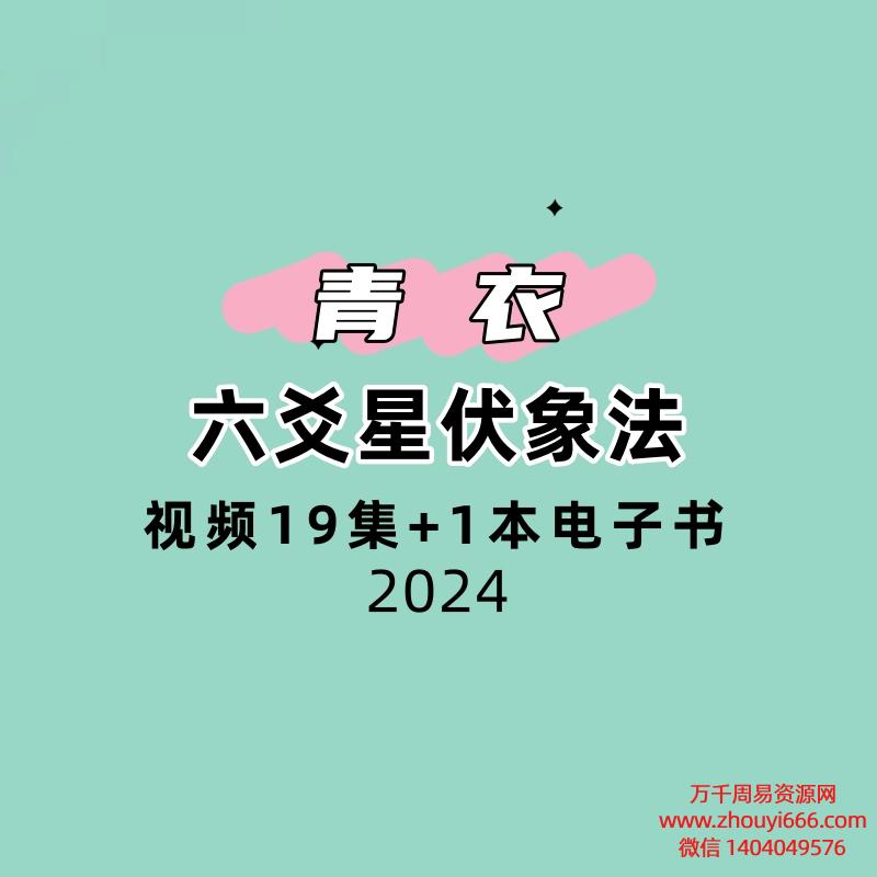 青衣六爻星伏象法视频19集+1本电子书